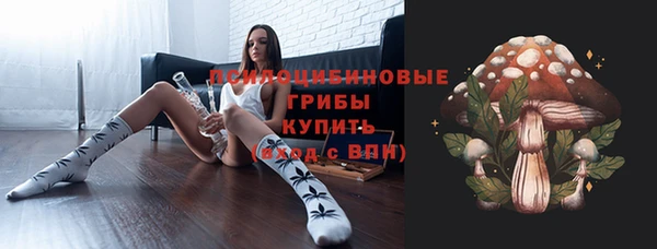 сатива Нефтегорск