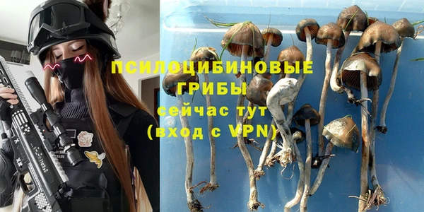 сатива Нефтегорск