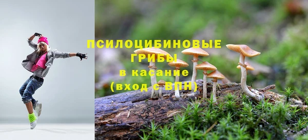 прущий лед Дубовка