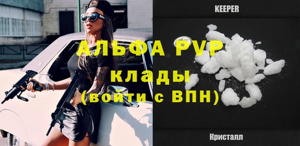 твердый Дубна