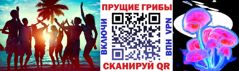 мега сайт  Озёры  Галлюциногенные грибы GOLDEN TEACHER 